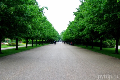 Rigens Park din Londra (parc regent)