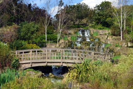 Regent's Park descrierea detaliată, adresa și fotografia