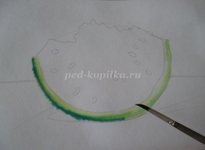 Deseneaza pepene verde in faze acuarela pentru incepatori