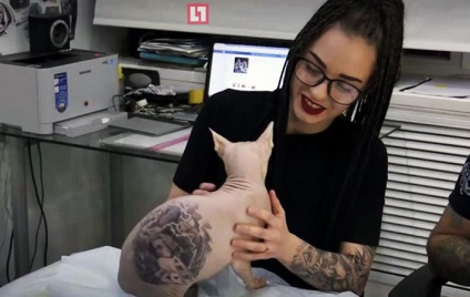 Artistul rus a șocat publicul mondial făcând 4 tatuaje ... pisica lui - factum