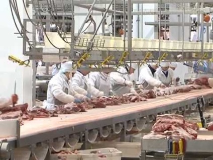 Regiunea Ryazan ca întreprinderi de prelucrare a cărnii operează în condiții de substituire a importurilor