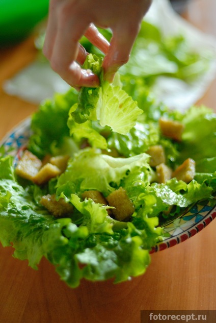Salata de Caesar, rețete simple
