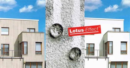 Vopsea de fațadă autocurățivă cu efect de lotus, articol de pe portalul de afaceri