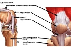 Simptomele cancerului genunchiului