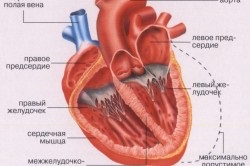 Simptomele astmului cardiac