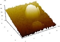 Scanning Microscopul sondei