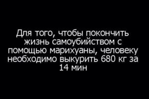 Скільки потрібно марихуани, щоб вбити людину