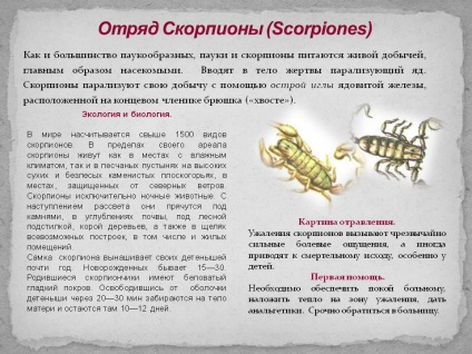 Scorpionii sunt un grup de animale din clasa de arahnide