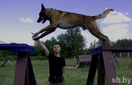 Kutya, mint a rendőrség kutyák kezelőinek különleges eszköze
