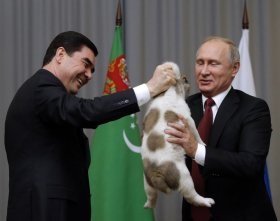 Numele câinelui Putin, știri