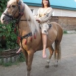 Costumul solo al calului și caracteristica foto, caii mei