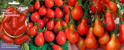 Soi de tomate - pere de conserve