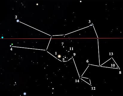 Constellation of the violin