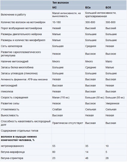 Structura omului »cum să decidem ce fel de sport să faceți! Sau raportul dintre rapid și