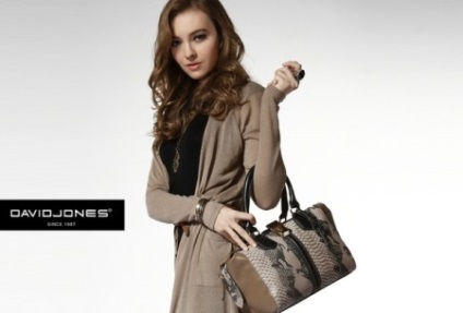 Bags david jones (87 imagini) modele david jones, comentarii