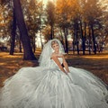 Fotograf de nunta - Gerasimov Vladimir - fotograf profesionist, g