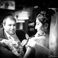 Fotograf de nunta - Gerasimov Vladimir - fotograf profesionist, g