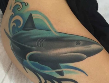 Shark tatuaj sensul pentru bărbați și femei, schițe și fotografii de tatuaje