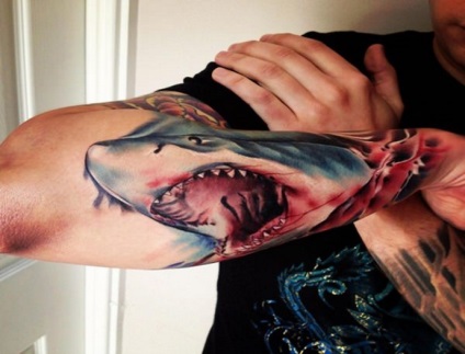 Shark tatuaj sensul pentru bărbați și femei, schițe și fotografii de tatuaje