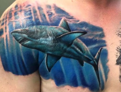 Shark tatuaj sensul pentru bărbați și femei, schițe și fotografii de tatuaje