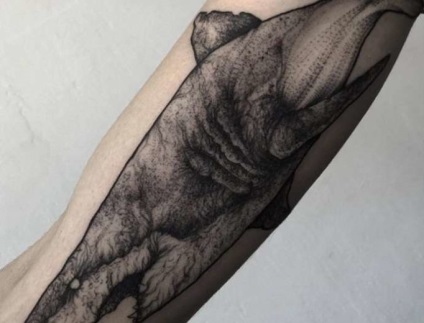 Shark tatuaj sensul pentru bărbați și femei, schițe și fotografii de tatuaje