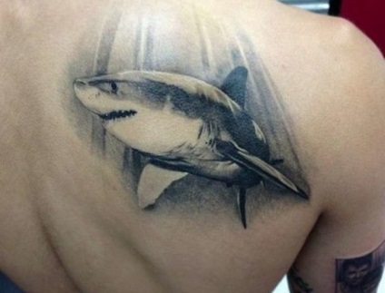 Shark tatuaj sensul pentru bărbați și femei, schițe și fotografii de tatuaje