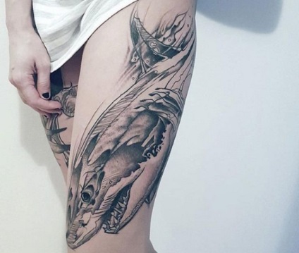 Shark tatuaj sensul pentru bărbați și femei, schițe și fotografii de tatuaje