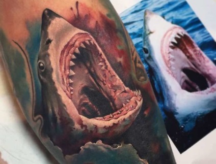 Shark tatuaj sensul pentru bărbați și femei, schițe și fotografii de tatuaje