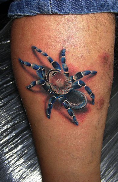 Tatuaj tarantula - adică, schițe de tatuaje și fotografii