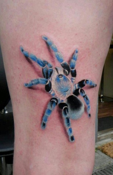 Tatuaj tarantula - adică, schițe de tatuaje și fotografii