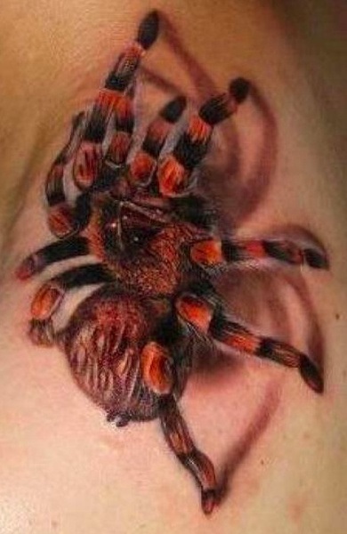 Tatuaj tarantula - adică, schițe de tatuaje și fotografii