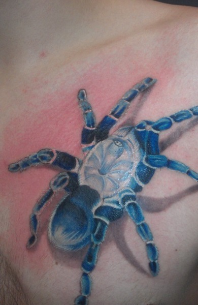 Tatuaj tarantula - adică, schițe de tatuaje și fotografii