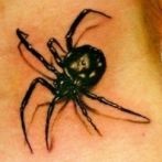 Spider tatuaj sens, fotografie