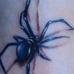 Spider tatuaj sens, fotografie