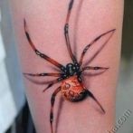 Spider tatuaj sens, fotografie