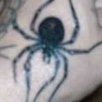 Spider tatuaj sens, fotografie