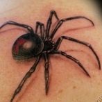 Spider tatuaj sens, fotografie