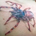 Spider tatuaj sens, fotografie