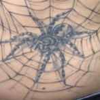 Spider tatuaj sens, fotografie