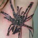 Spider tatuaj sens, fotografie