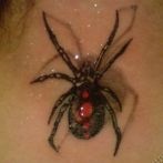 Spider tatuaj sens, fotografie