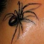 Spider tatuaj sens, fotografie