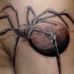 Spider tatuaj sens, fotografie