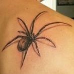 Spider tatuaj sens, fotografie