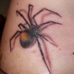 Spider tatuaj sens, fotografie