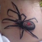 Spider tatuaj sens, fotografie