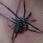 Spider tatuaj sens, fotografie