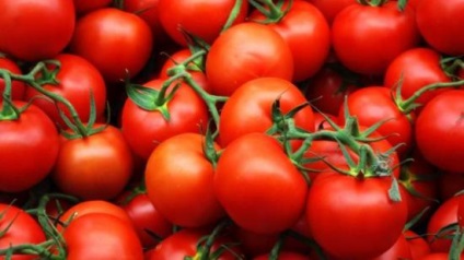 Descrierea varietății de tomate burlak f1, plantare și creștere