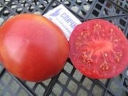 Tomată conservată de pere