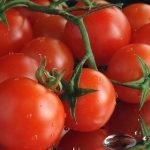 Tomat countryman (50 de fotografii) care a plantat, cresc tomate, descriere, comentarii, video